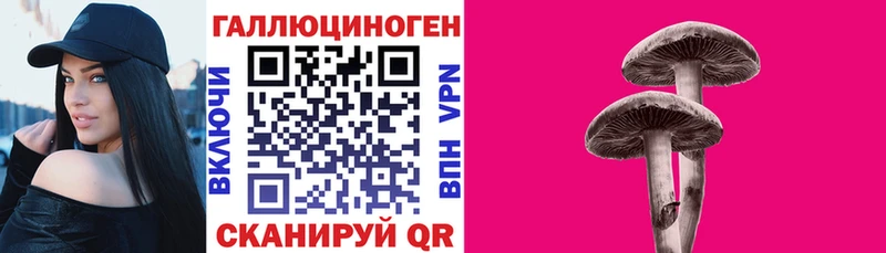 хочу наркоту  mega как войти  Псилоцибиновые грибы мицелий  Майский 