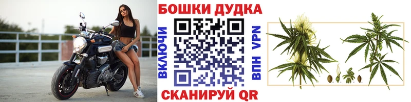 Бошки марихуана индика  купить наркотики сайты  Майский 